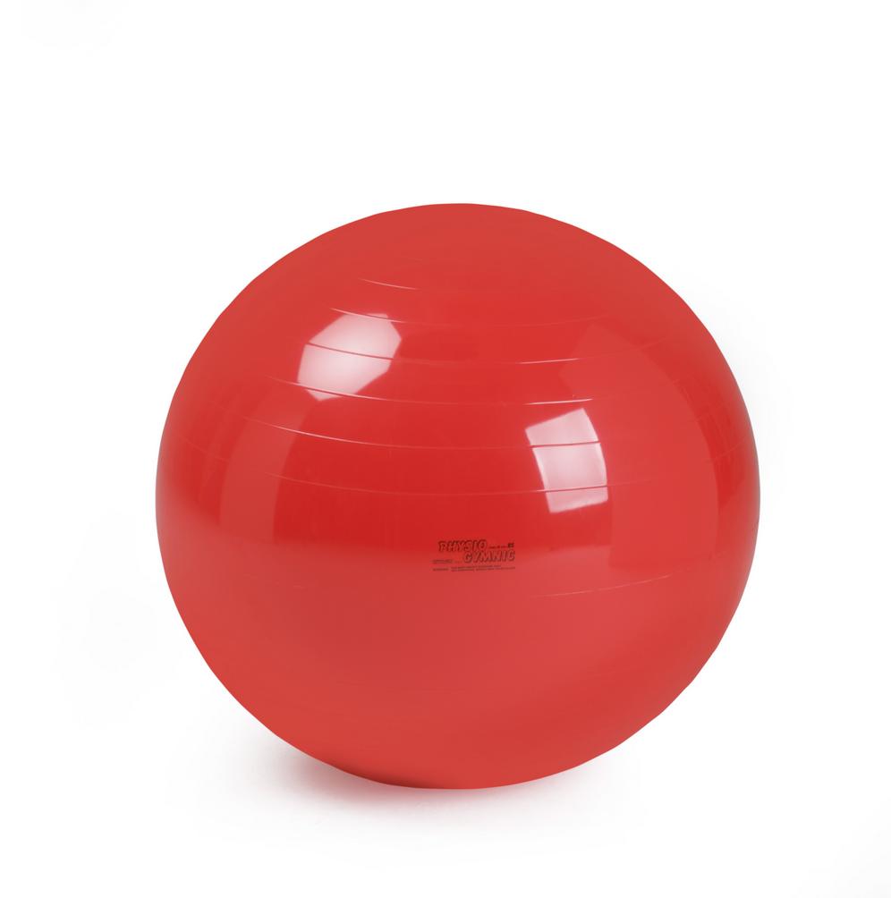 Ballon de gym Plus - Physiothérapie et exercices ciblés - Résistance  jusqu'à 120 kg - Gymnic - 65 cm - Ballons - Robé vente matériel médical