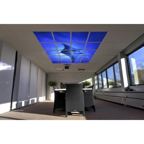 Panneaux de plafond LED 60 x 60 cm - set de 4