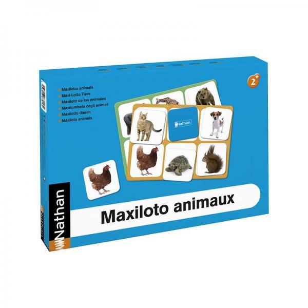 Maxiloto - animaux