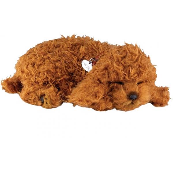 Pefect Petzzz - Caniche Toy