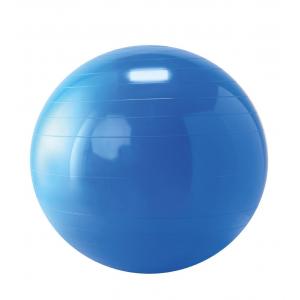 Gymnic - Ballon de réeducation 65 cm bleu